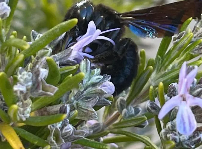 Sandpas Lejlighed Compeyre